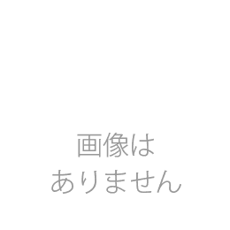 [UOP-5030-2]扉内設置用取付BOX RUF-VS関連部材 リンナイ ガス給湯器部材オプション 【送料無料】